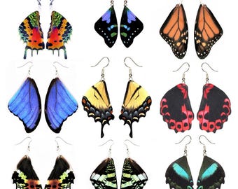 REAL preserved butterfly moth wing earrings - choose species