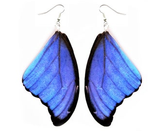 Morpho didius blue butterfly wing earrings