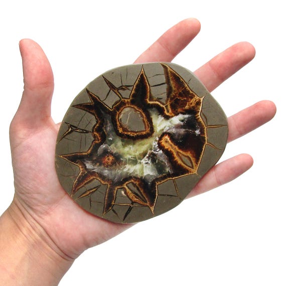 Septarian Agatized Dragonstone Geode Slice Utah USA - Etsy