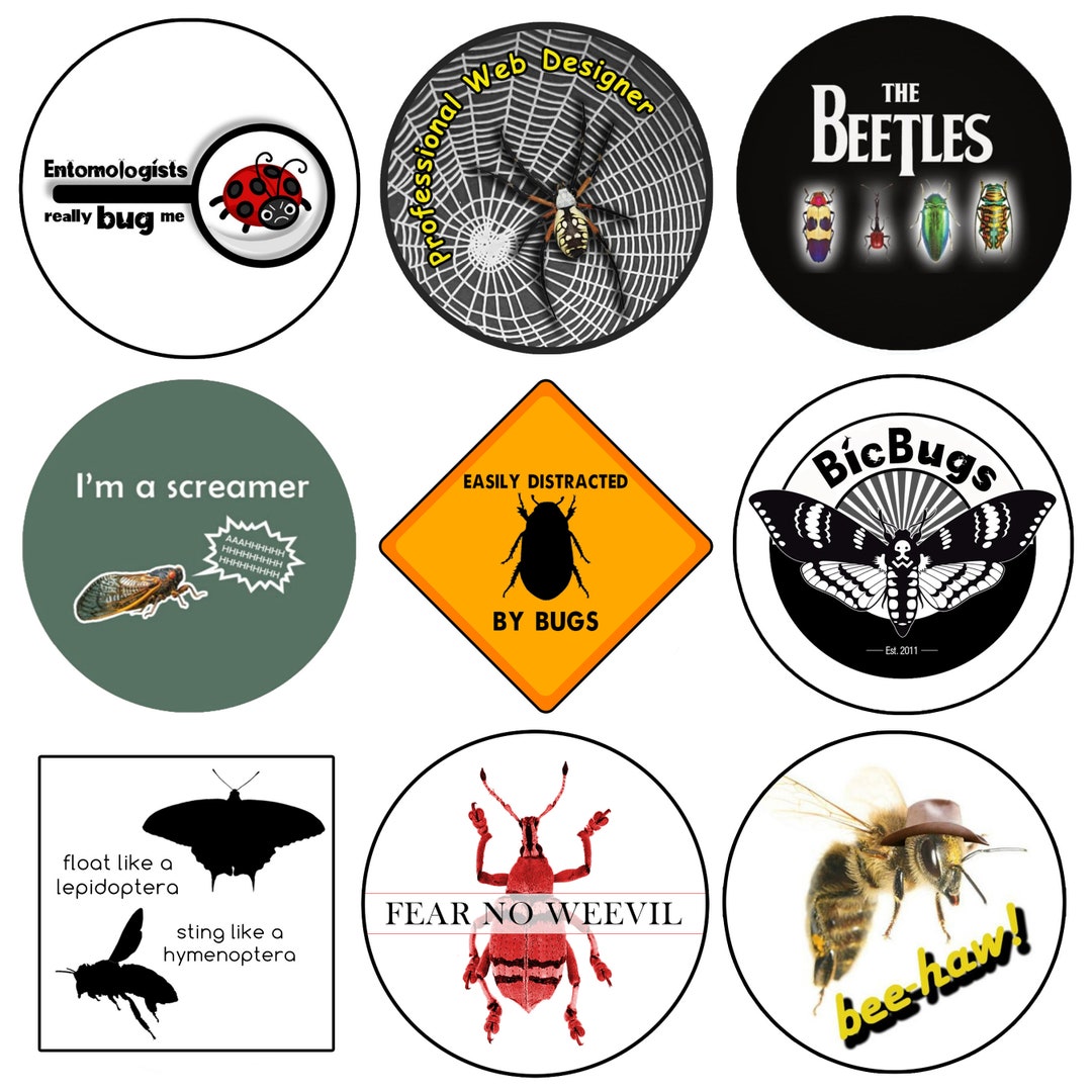 Mixed Lot Of Assorted Insect Pun Stickers Mystery Box Etsy mixed-lot-of-assorted-insect-pun-stickers-mystery-box-etsy