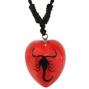 Scorpion heart shaped necklace, red black