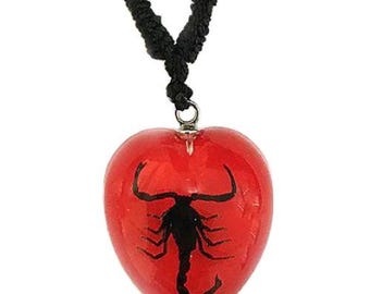 Scorpion heart shaped necklace, red black