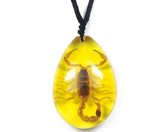 REAL yellow gold scorpion necklace adjustable chain to fit any person any age