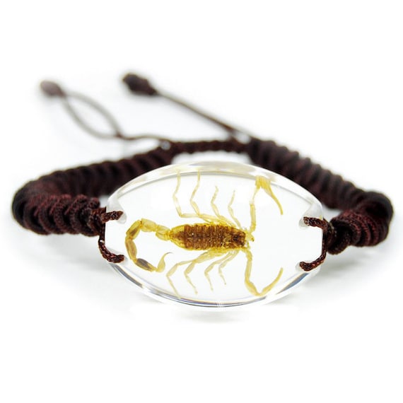 Real scorpion best sale bracelet