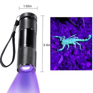 May include: A black flashlight with a strap, measuring 3.4 inches in length and 1.02 inches in diameter, emits a bright purple ultraviolet light. The light is shown illuminating a scorpion, which glows a bright blue-green under the UV light.
