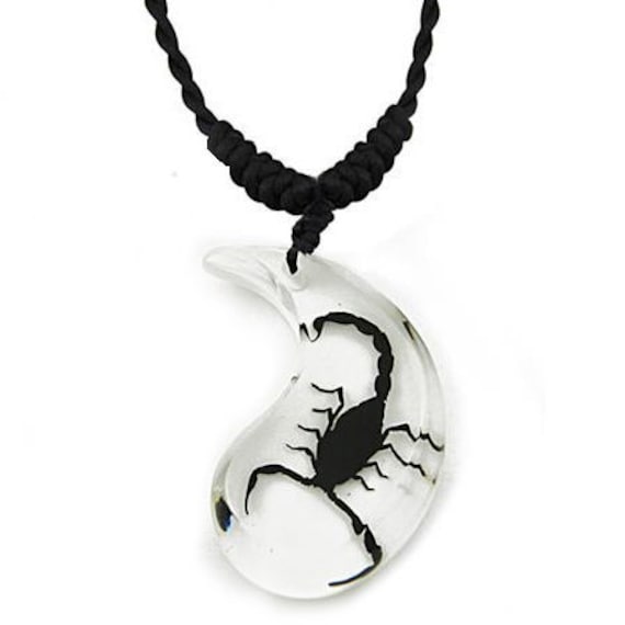 F Dream Scorpion necklace, stainless steel, scorpion pendant, scorpion  gifts (Scorpion) Stainless Steel Pendant Set Price in India - Buy F Dream Scorpion  necklace, stainless steel, scorpion pendant, scorpion gifts (Scorpion)  Stainless