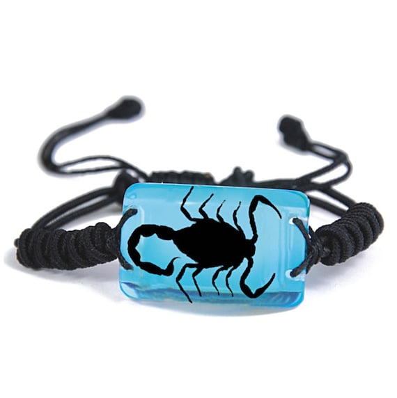 Real scorpion best sale bracelet