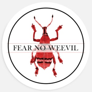 Fear no weevil 1.5in sticker