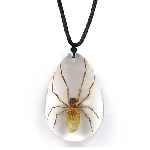 Real spider shop necklace
