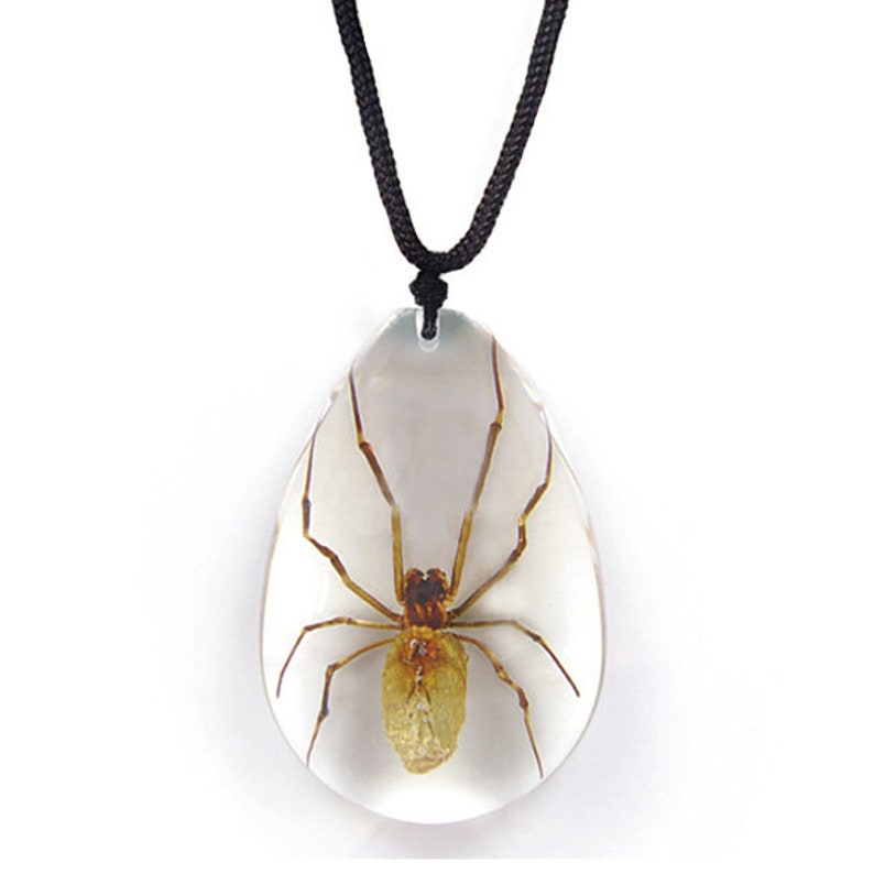 May include: A clear teardrop-shaped pendant necklace with a preserved spider inside. The necklace has a black cord.