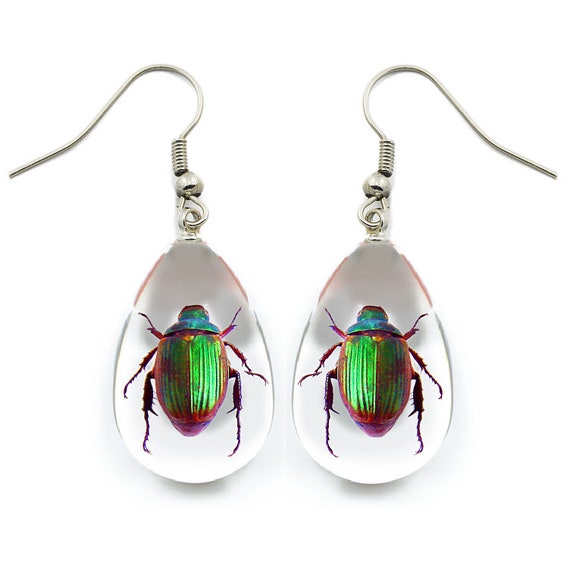 Scarab beetle best sale earrings