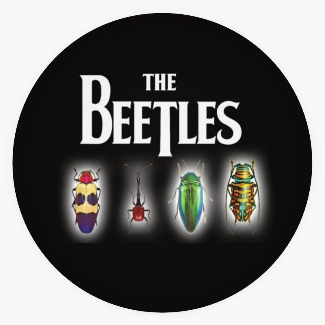 The Beetles Beatles Pun 1.5in Sticker - Etsy