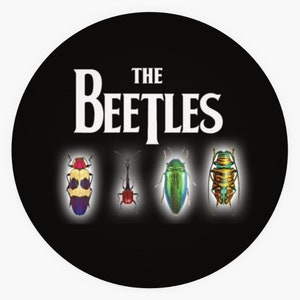The Beetles Beatles Pun 1.5in sticker