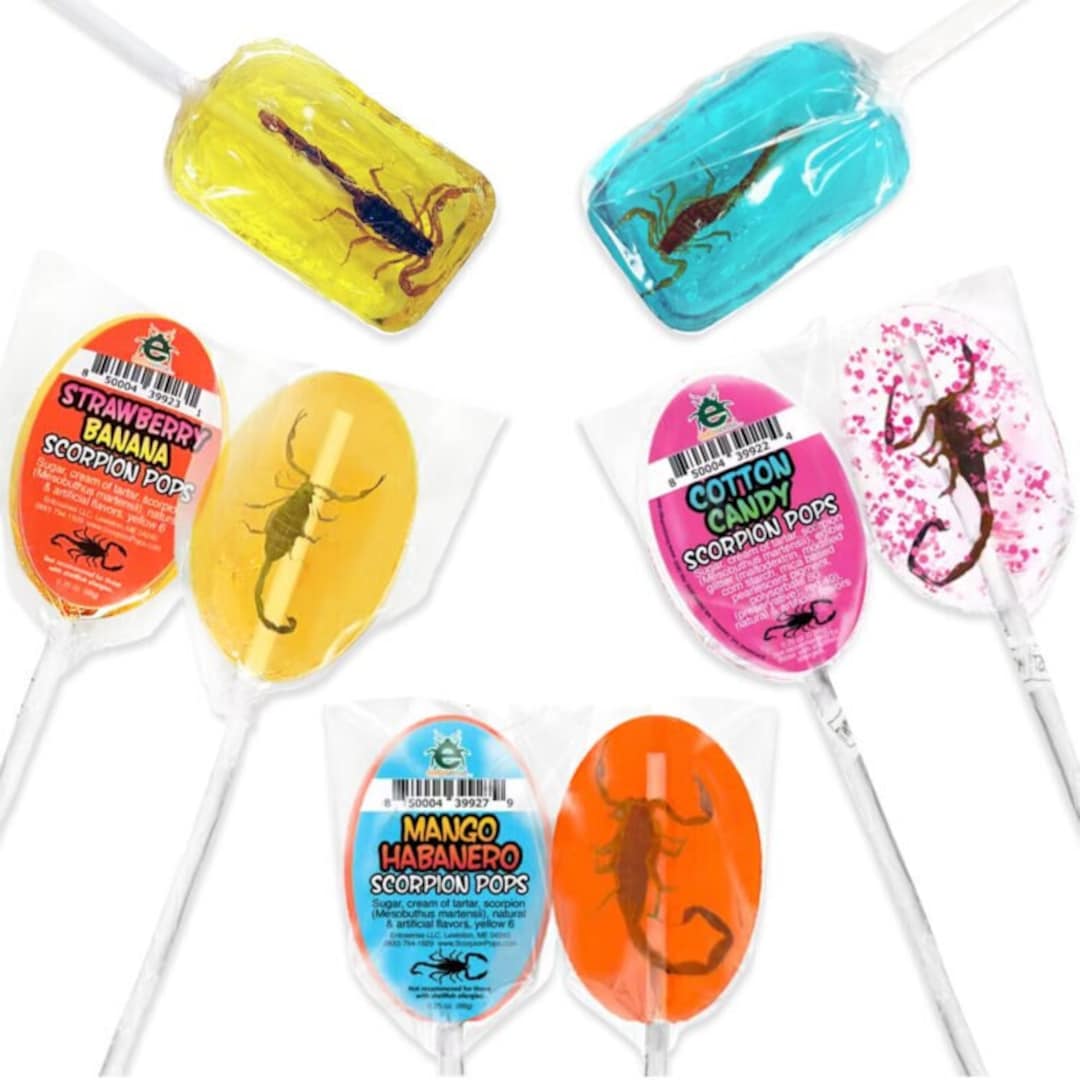 SCORPION sucker lollipop edible arachnid bred for human