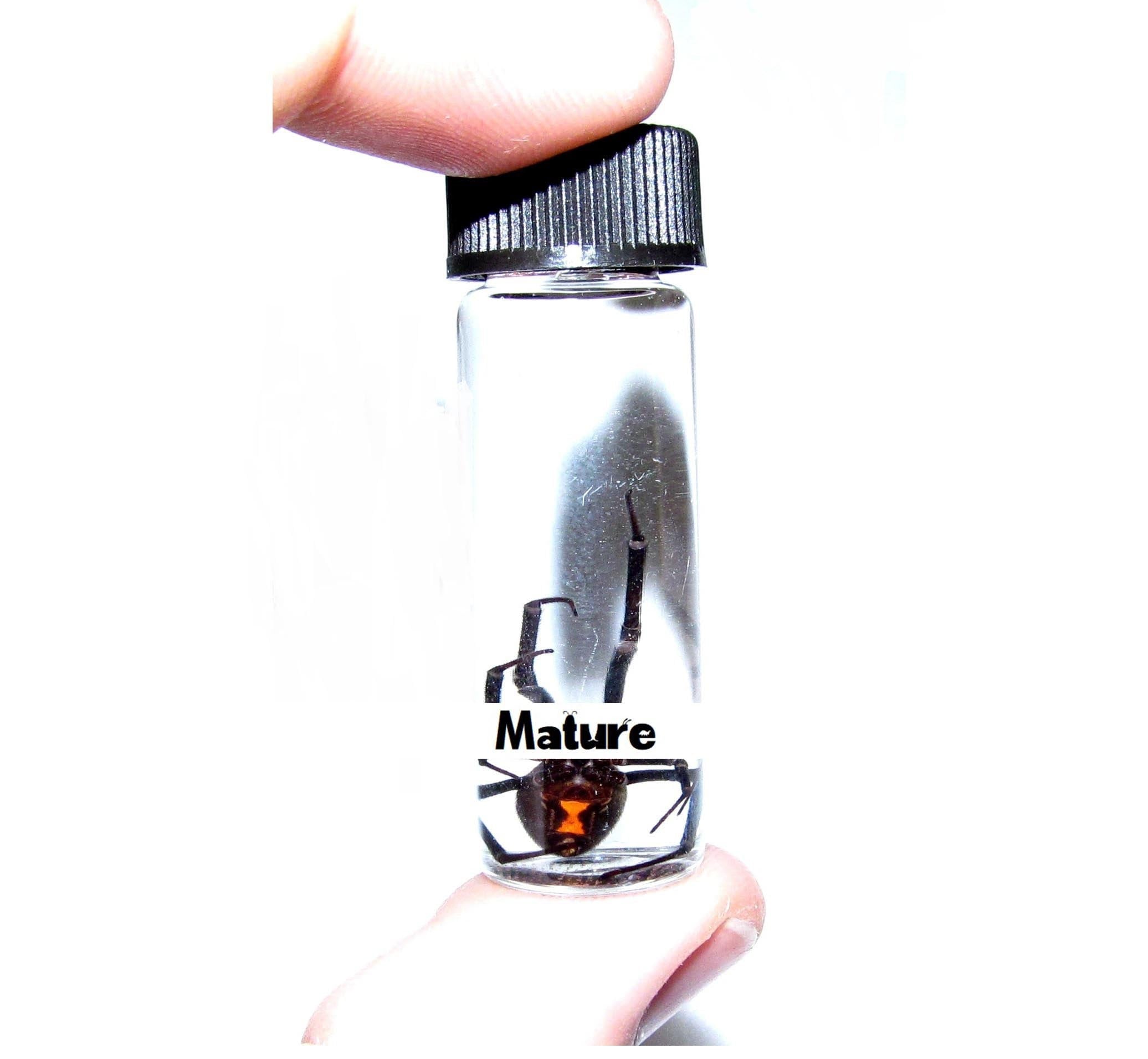elfbar nachfüll pod läuft aus Devil E-liquid - A collection by AVAP