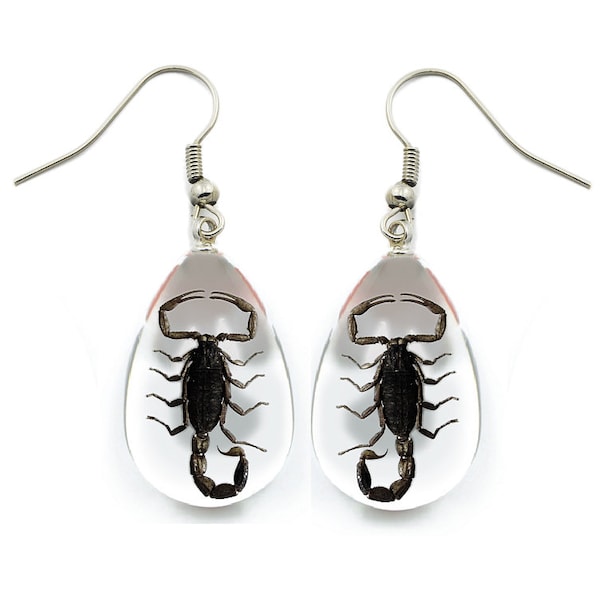 REAL black scorpion earrings acrylic sterling silver