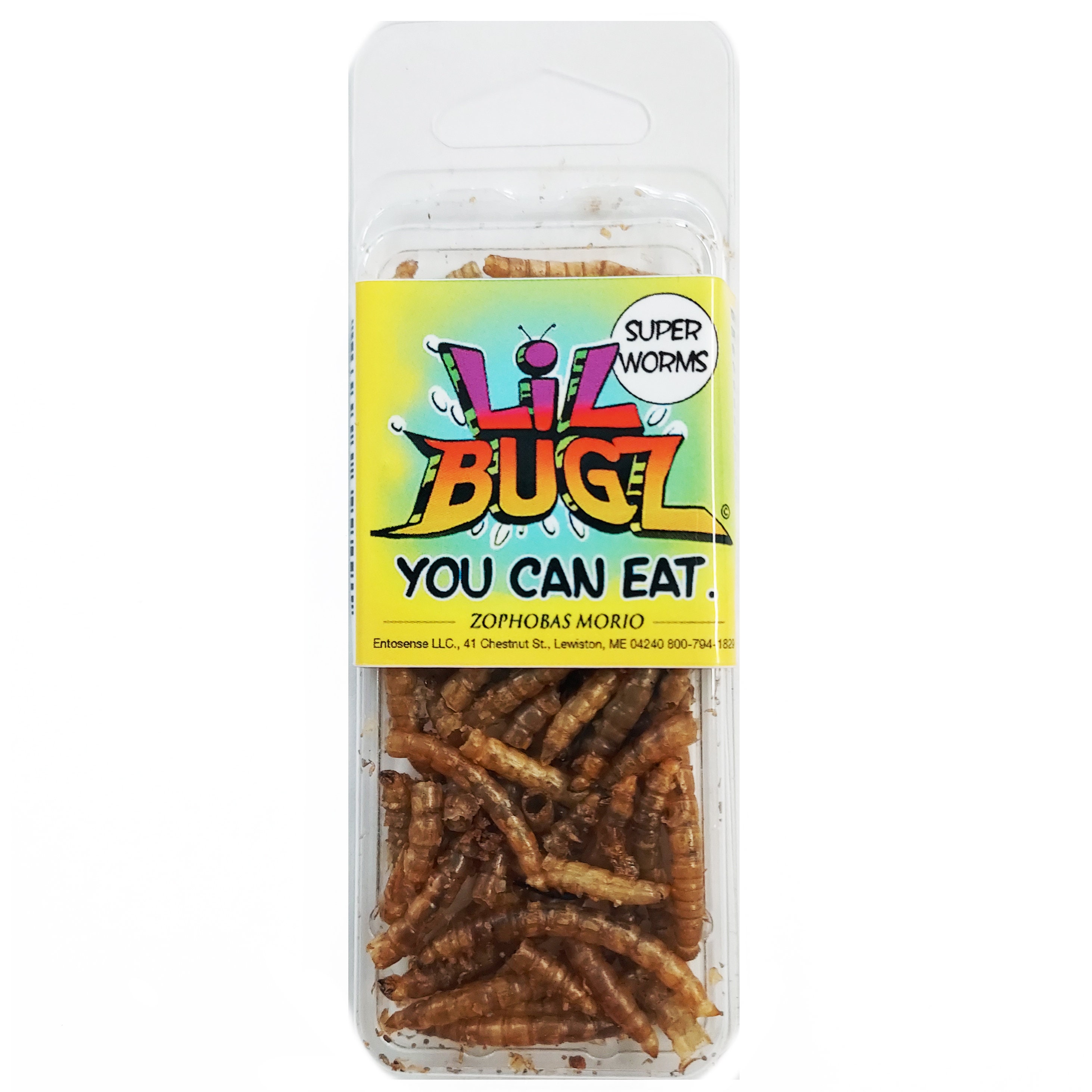 SUPER WORMS Lil Bugz Edible Insects Bred for Human Consumption -  Canada