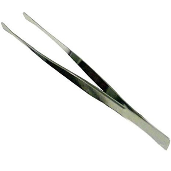 Insect Handling Preparation Tweezers Long Round Tip 