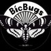 BicBugs