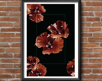 Poppy Wall Art Print, Rome Wall Art Print, Rome Flower Art Print, Printable Wall Art, Large Poster Printable, Italy Flower Print, Italy Art