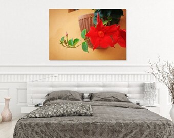 Red Flower Wall Art, Pisa Wall Art, Italy Wall Art Print, Digital Download Italy, Italian Wall Art Print, Printable Poster Italy