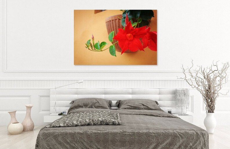 Red Flower Wall Art, Pisa Wall Art, Italy Wall Art Print, Digital Download Italy, Italian Wall Art Print, Printable Poster Italy image 1