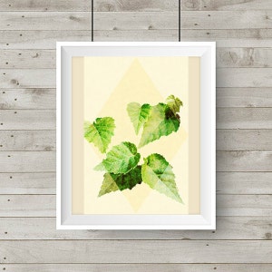 Alaska Birch, Digital Print, Plant Wall Art, Digital Art, Alaska Art, Alaskan Plant Digital