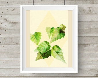 Alaska Birch, Digital Print, Plant Wall Art, Digital Art, Alaska Art, Alaskan Plant Digital