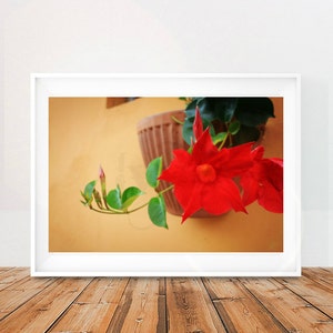 Red Flower Wall Art, Pisa Wall Art, Italy Wall Art Print, Digital Download Italy, Italian Wall Art Print, Printable Poster Italy image 2