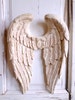 SHABBY CHIC Angel Wings Vintage Finish Wall Decor - Shabby Pink - NEW!!  Wall Decor / Furniture Appliques! 