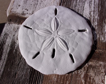 Beach Chic Wall Decor!