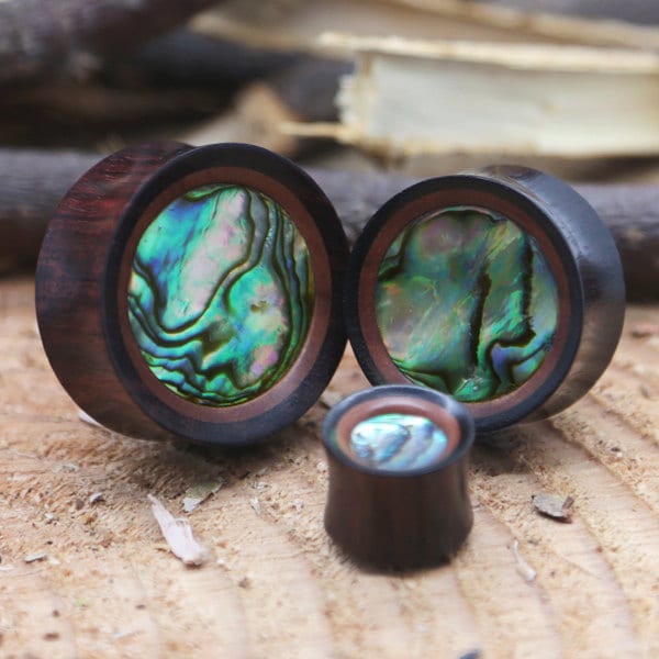 Saba & Abalone Plug / Gauge - Double Flare Wooden Ear Plugs / Gauges in 10mm (00g) - 50mm (2")