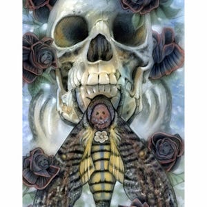 Puede incluir: Ilustración detallada que presenta una calavera con una polilla en la boca, rodeada de rosas oscuras. La polilla tiene un cuerpo a rayas amarillas y marrones y alas estampadas. La obra se titula "Death" de Michael Calandra.