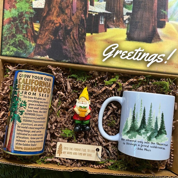 GROW A TREE Gift Box/Gift for Nature Lover/Live Tree Seed Kit/Your Choice of Mug/John Muir Key Chain/Gnome/Bigfoot Candle Add-On/Camper/Hike