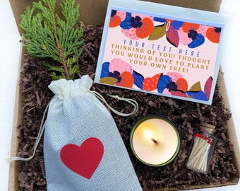 LIVE TREE Gift Box/Scented Candle/Plant Your Own Tree/Thinking of You/Birthday Gift Box/Gift for Mom/Brighten Your Day/Sending Sunshine/Love