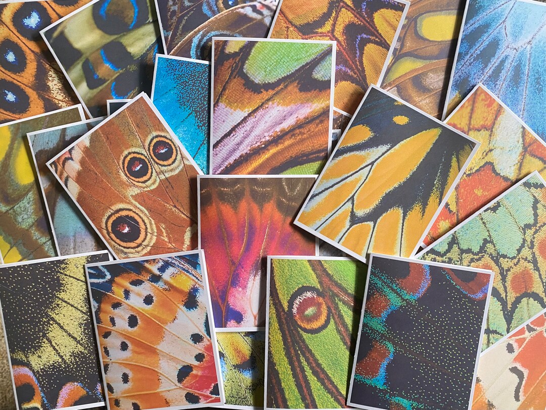 Blank Inside Note Cards With Envelopes/set of 25 Etsy