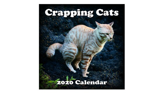 2020 Crazy 2020 Crazy