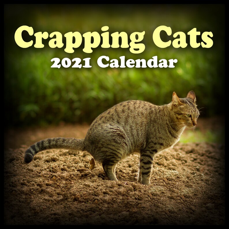 POOPING CATS CALENDAR 2021 Wall Calendar 12 Pooping Cats | Etsy