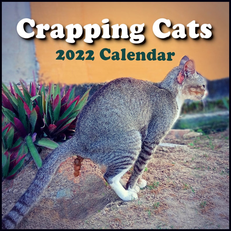 POOPING CATS CALENDAR 2022 Wall Calendar 12 Pooping Cats Etsy