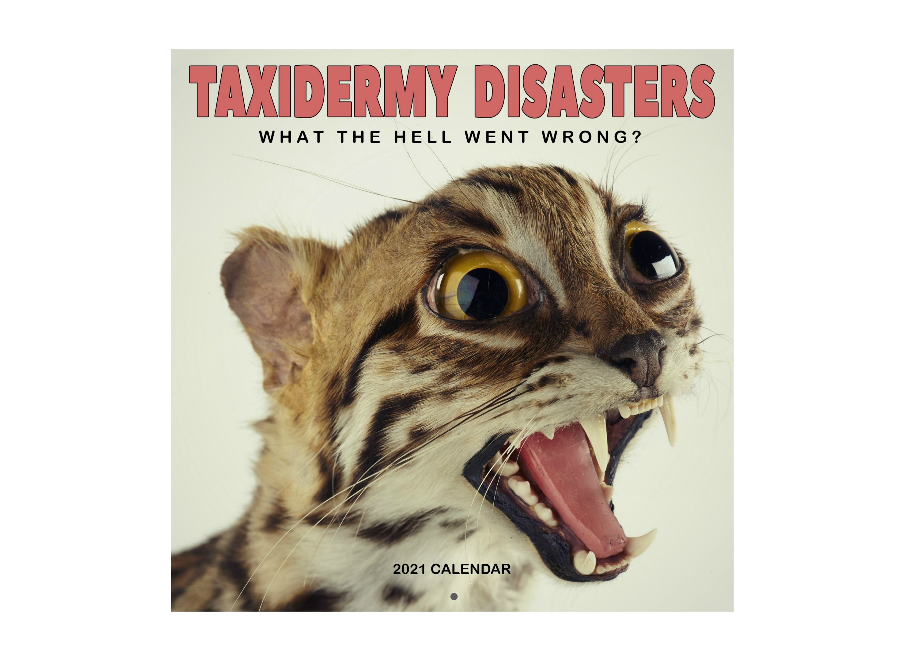 CALENDAR TAXIDERMY DISASTERS 2021. Tragically Hilarious. Etsy
