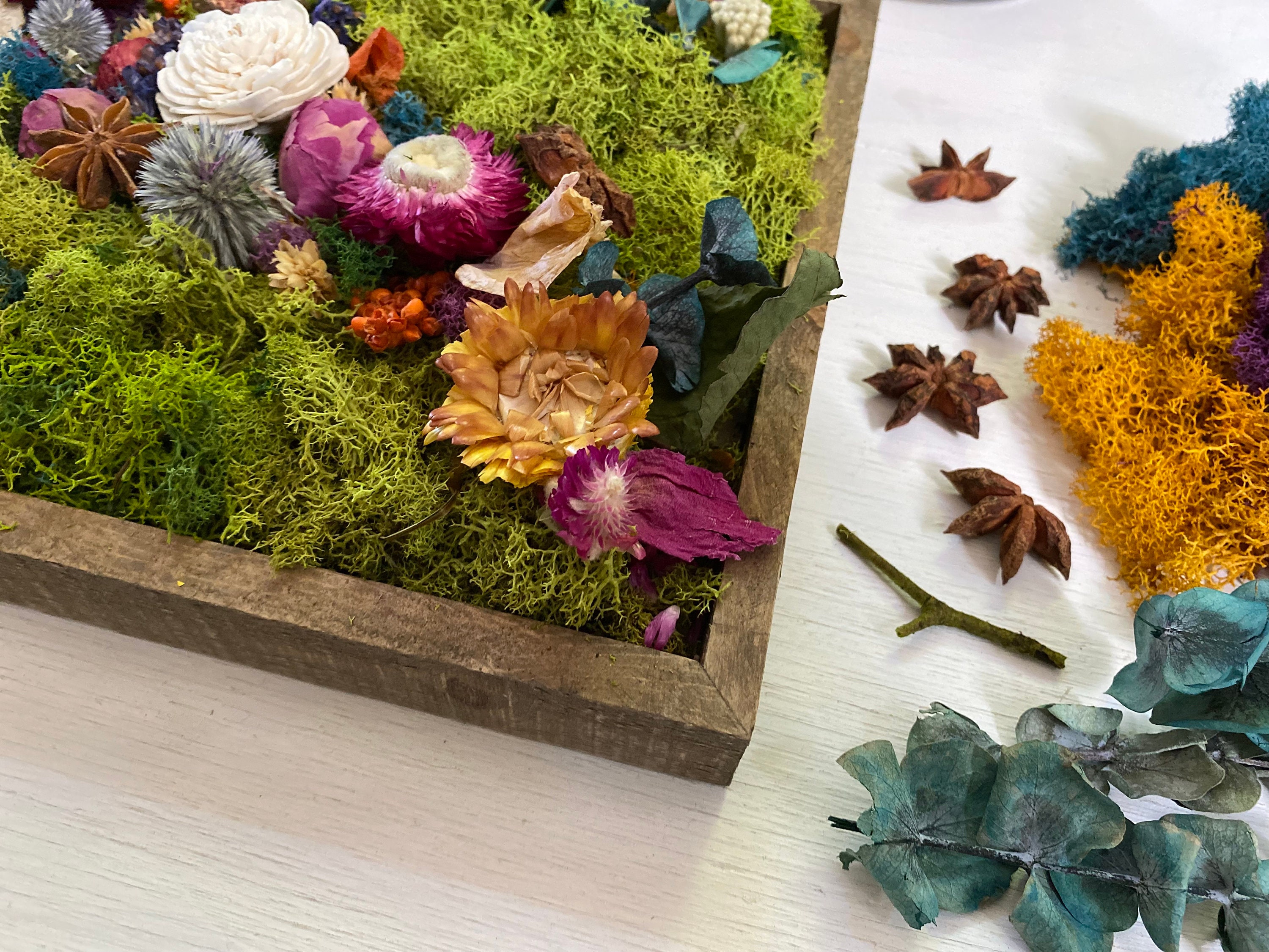 Moss Art Set Adult Art and Crafts Youth DIY Handmade Dried Flowes