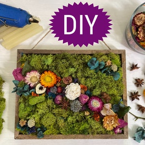 Moss Wall Art Kit/DIY Moss Art/Moss and Flower Hanging Wall Art/Do It Yourself/DIY Craft Project for Adults/Preserved Moss/Hanging Wall Art
