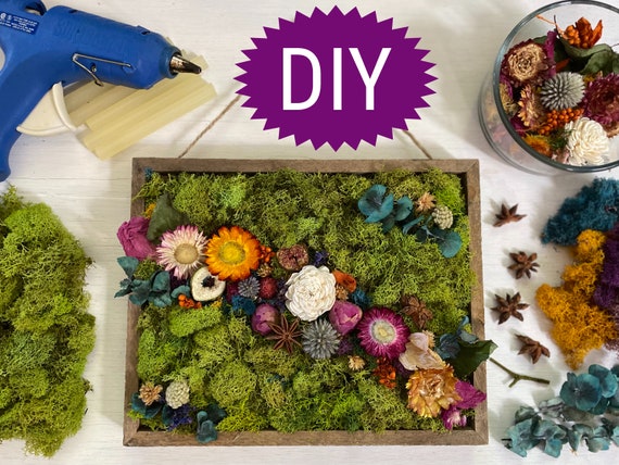 DIY Preserved Moss Wall Art Kit, Mossy Tree – Live Long And Plant