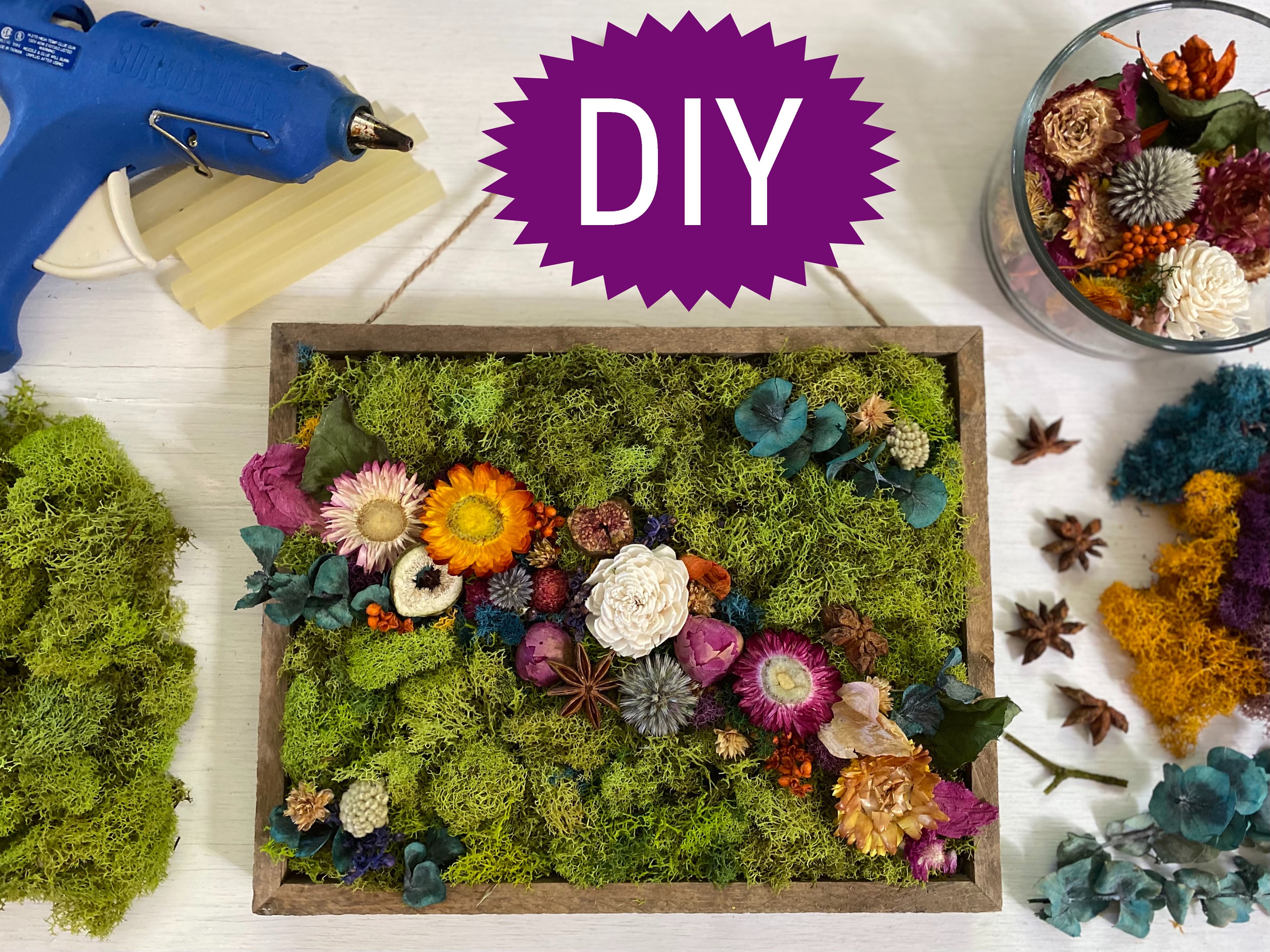 Moss Wall Art Kit, DIY Kits