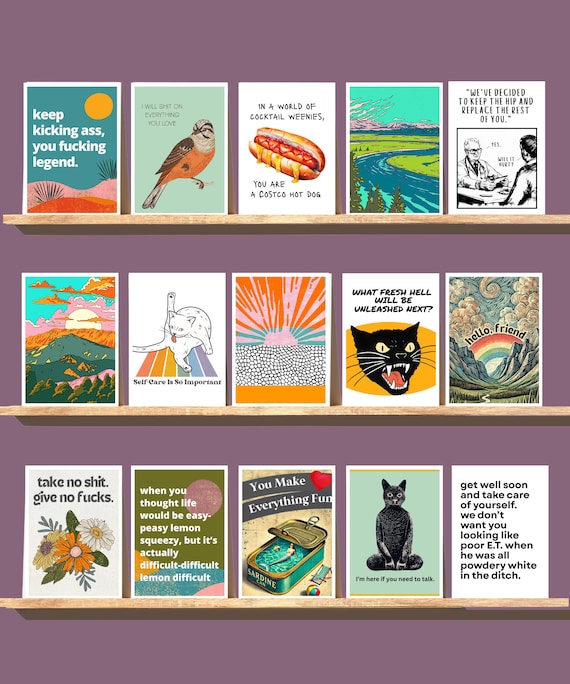 Funny Notecard Variety Set: Cheeky Greeting Cards with Envelopes
