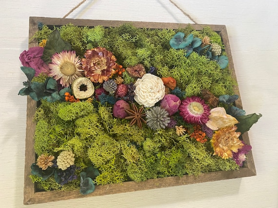 Moss Art Set Adult Art and Crafts Youth DIY Handmade Dried Flowes