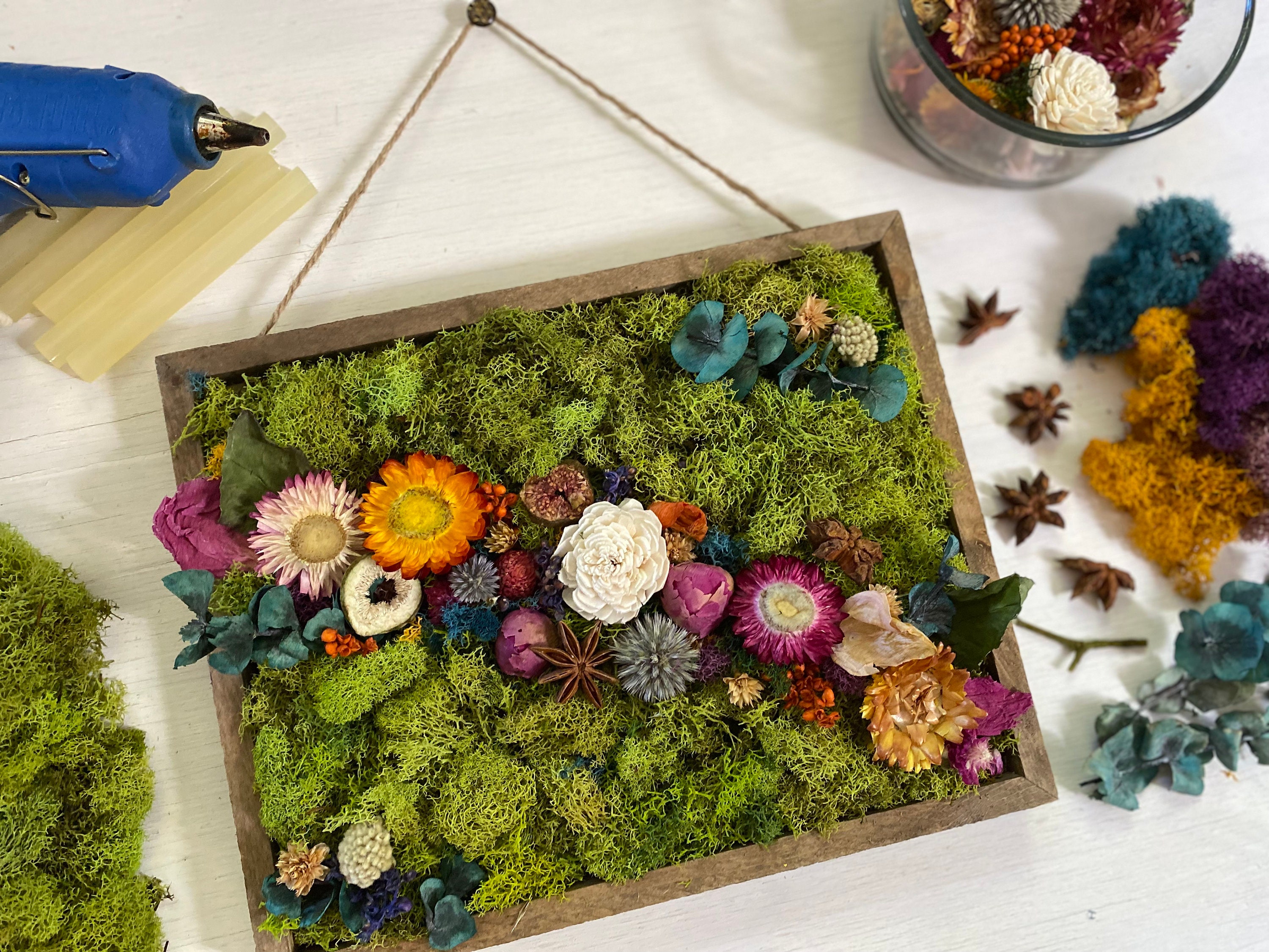 Moss Art Set Adult Art and Crafts Youth DIY Handmade Dried Flowes Set  Women's Hobbies Wedding Craftsman Gift Artificial Flowers