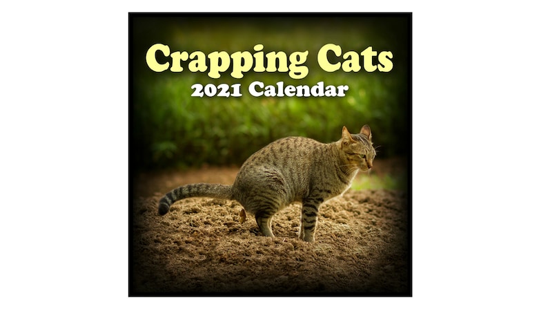 CRAPPING CATS CALENDAR 2021 Wall Calendar 12 Pooping Cats | Etsy