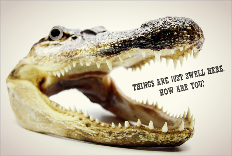 K&ouml;nnte beinhalten: Nahaufnahme eines ge&ouml;ffneten Alligatormauls mit scharfen Z&auml;hnen und strukturierter Haut. Der Text "THINGS ARE JUST SWELL HERE. HOW ARE YOU?" ist auf der rechten Seite des Bildes aufgedruckt.