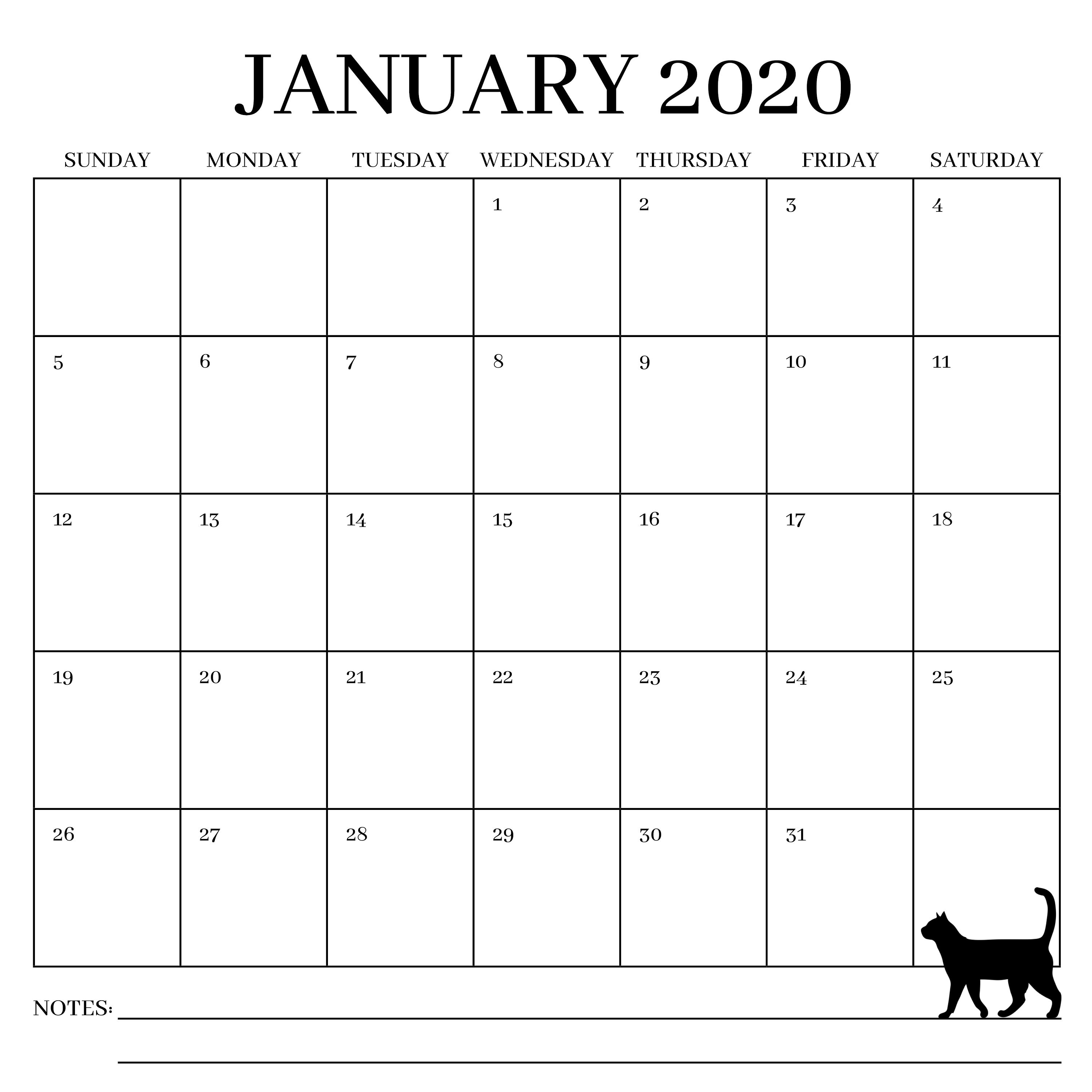 CRAPPING CATS CALENDAR 2020 Gift for Cat Lovers Crazy Cat | Etsy